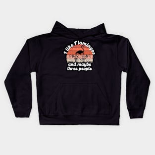 I like flamingos and maybe three people Kids Hoodie